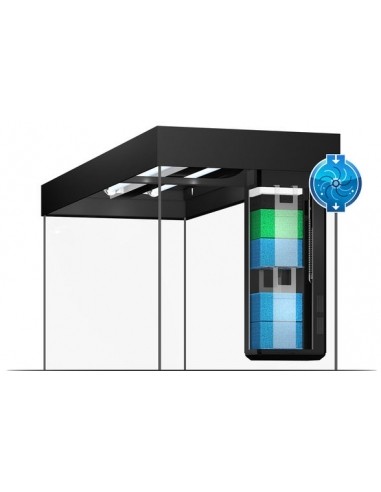 Aquarium Rio 240 LED Juwel aquarium Aquarium pour poisson d'eau chaude