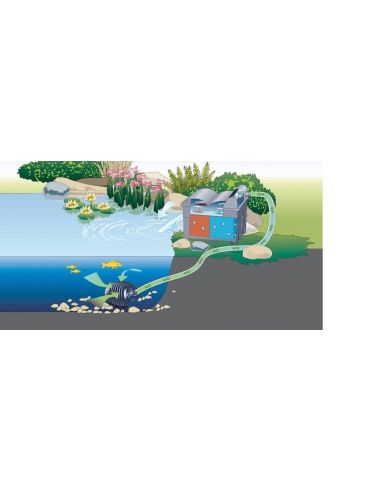 Filtre Biosmart Set 36 000 Oase Filtres gravitaire pour bassin