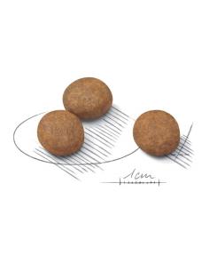 Maxi Junior 4Kg Royal canin Alimentation et croquette 2