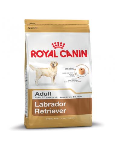 Labrador 12Kg Royal canin Alimentation et croquette