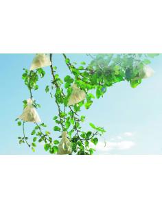 Housses à fruit Fruisac x 50 Nortène Accessoires pour film et toiles