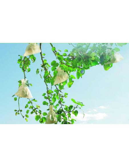 Housses à fruit Fruisac x 50 Nortène Accessoires pour film et toiles