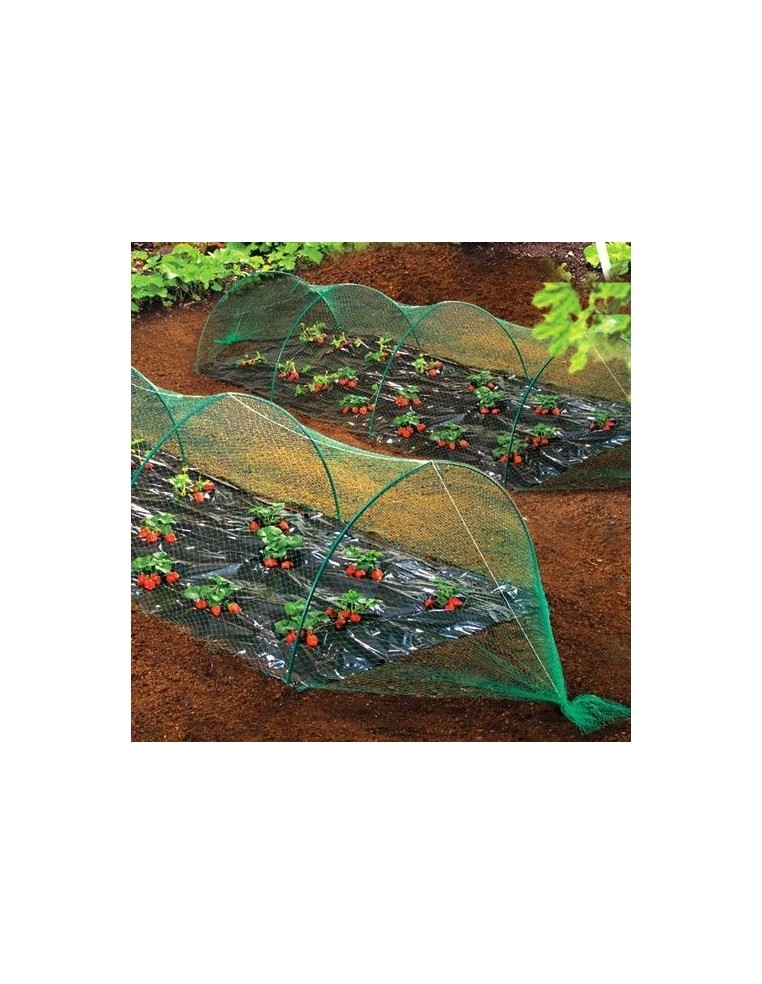 Filet de protection oiseaux Birdnet 8 x 10 M Nortène Filet de protection