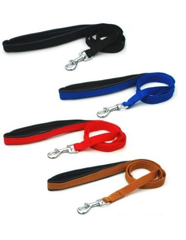 Laisse nylon poignée confort turquoise Smooz Laisses et laisses à enrouleur