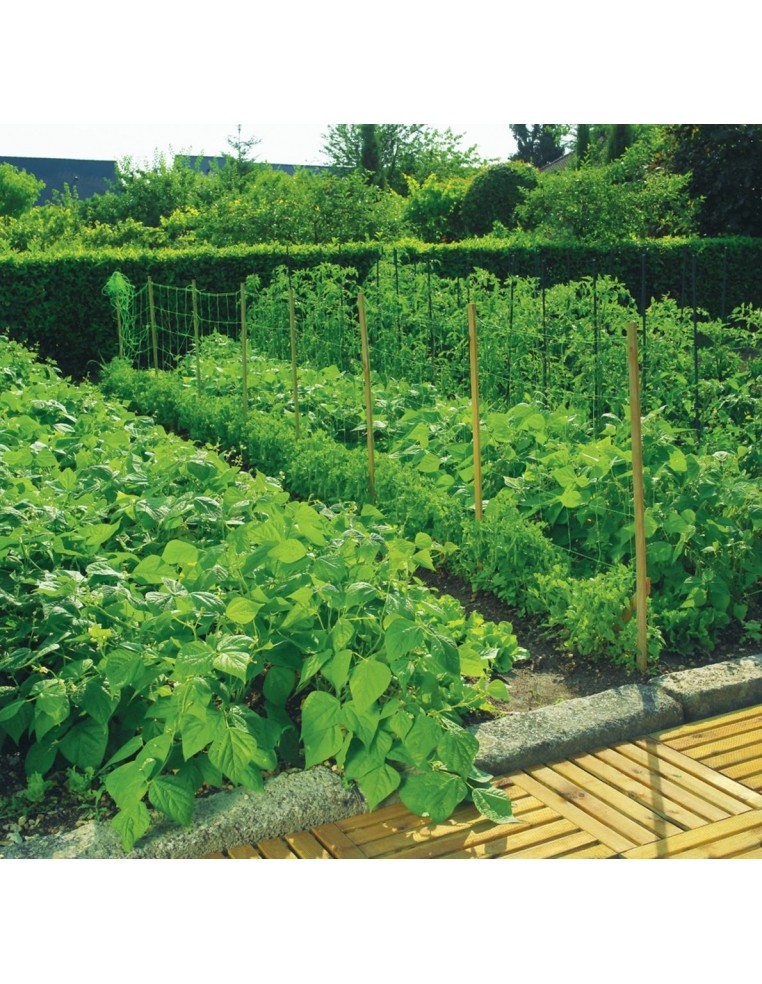 Filet Jardin, 5 × 2m Filet de pour Plante Filet de Protection,Filet Jardin  Potager de Soutien pour Plantes Grimpantes,Filet [105]
