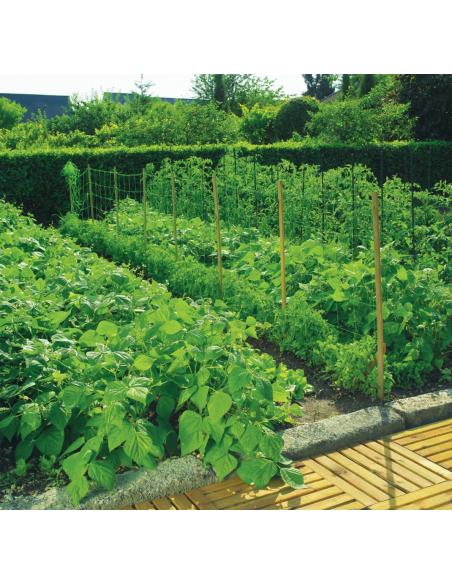 Filet à Ramer renforcé Trellinet 1 x 5 M Nortène Filet de protection