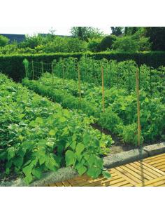 Filet à Ramer renforcé Trellinett 2 x 5 M Nortène Filet de protection 2