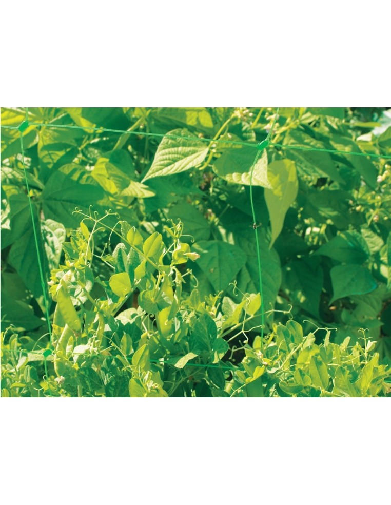 Filet à Ramer renforcé Trellinett 2 x 5 M Nortène Filet de protection