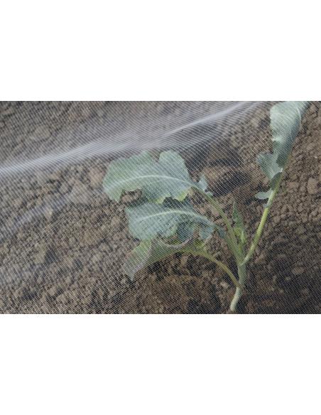 Filet anti-insectes Biocontrol 2.2 x 10m - Nortène Nortène Filet de protection