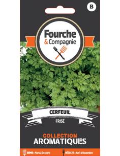 Cerfeuil frisé - Fourche & Compagnie Fourche et Compagnie Graines aromatiques