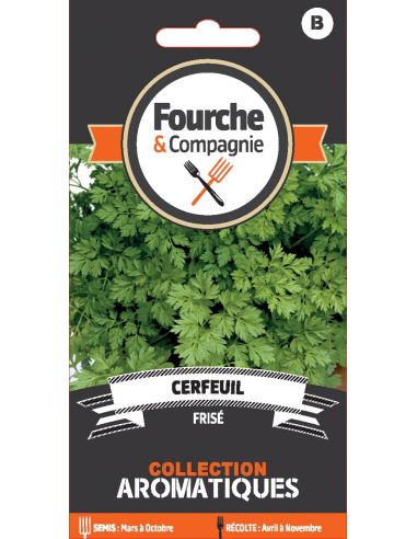 Cerfeuil frisé - Fourche & Compagnie Fourche et Compagnie Graines aromatiques