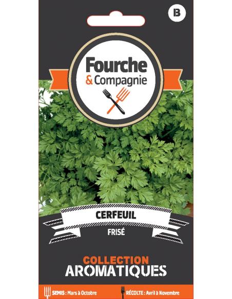 Cerfeuil frisé - Fourche & Compagnie Fourche et Compagnie Graines aromatiques