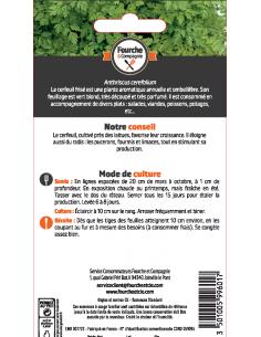 Cerfeuil frisé - Fourche & Compagnie Fourche et Compagnie Graines aromatiques 2