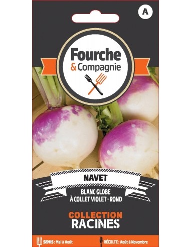 Navet blanc globe à collet violet - Fourche & Compagnie Fourche et Compagnie Graines du potager