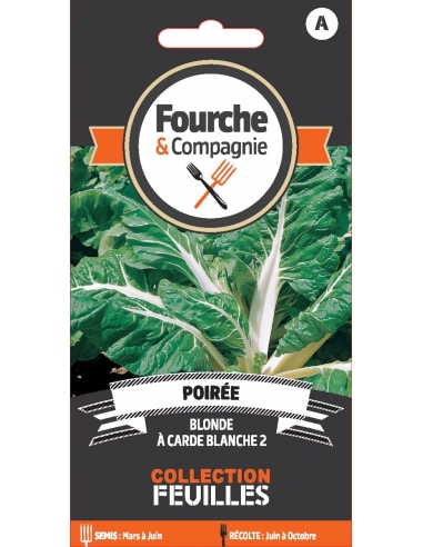 Poirée blonde à carde blanche Fourche et Compagnie Graines du potager