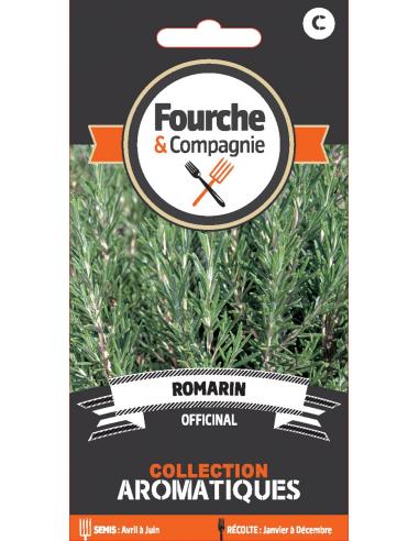 Romarin officinal Fourche et Compagnie Graines aromatique