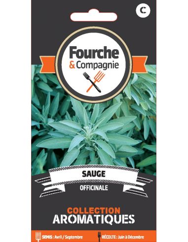Sauge officinale Fourche et Compagnie Graines aromatique