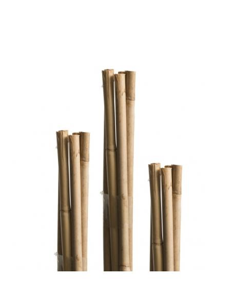 Tuteur Bambou Naturel 210 cm Windhager Tuteur bois et tuteur bambou