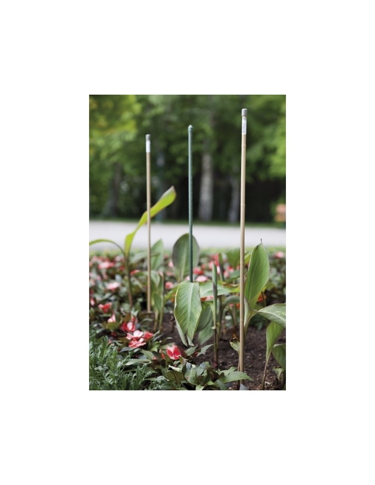 Tuteur Acier Plastifié 180 cm Windhager Tuteur métallique