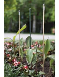 Tuteur Acier Plastifié Aspect Bambou 180 cm Windhager Tuteur métallique 2
