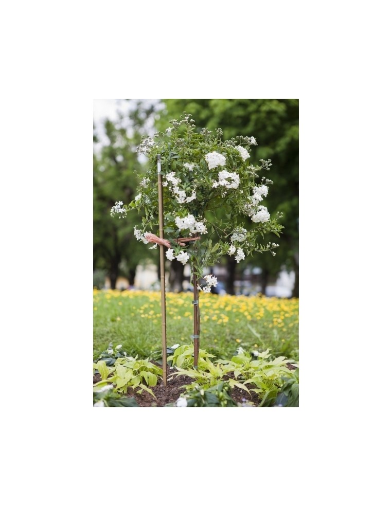 Tuteur Acier Plastifié Aspect Bambou 180 cm Windhager Tuteur métallique