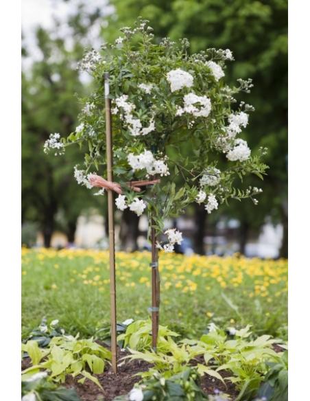 Tuteur Acier Plastifié Aspect Bambou 180 cm Windhager Tuteur métallique