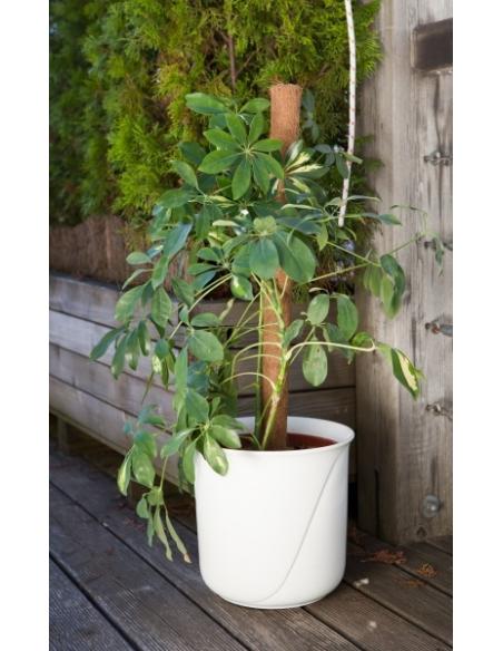 Tuteur en Fibre de Coco 60 cm Windhager Tuteur bois et tuteur bambou