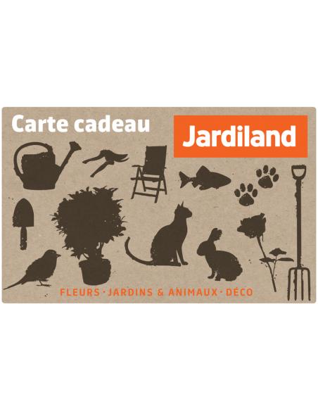 Carte cadeau - Valeur 5.000F  Accueil
