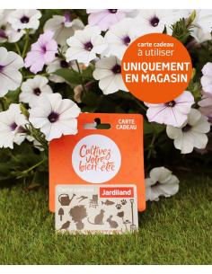 Carte cadeau - Valeur 10.000F  Accueil