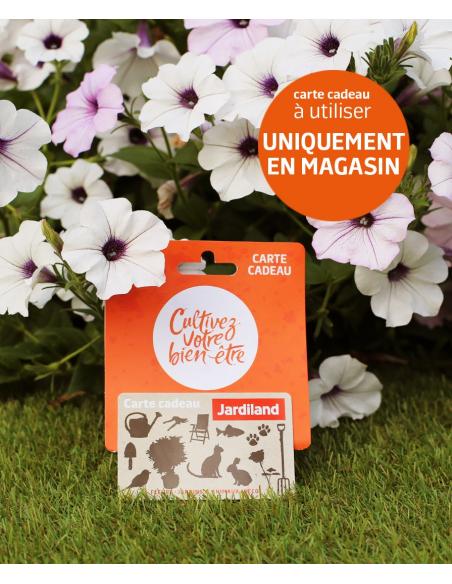 Carte cadeau - Valeur 10.000F  Accueil