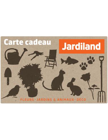 Carte cadeau - Valeur 20.000F  Accueil