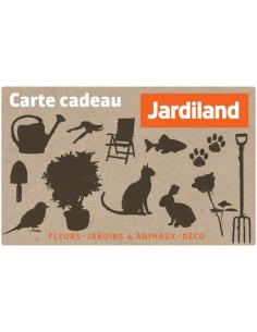 Carte cadeau - Valeur 30.000F  Accueil 2