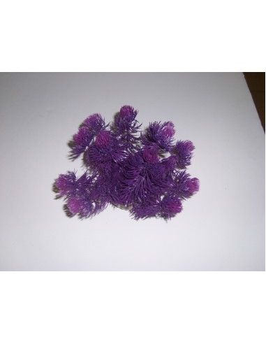 Algue boule colorée violet Labeo Plante artificielle pour aquarium