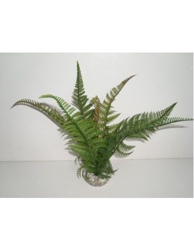 Fougère pour aquarium Labeo Plante artificielle pour aquarium
