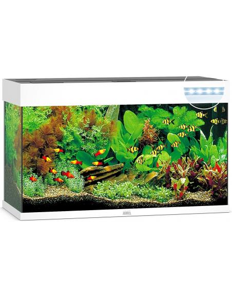 Aquarium Rio 125 LED Juwel aquarium Aquarium pour poisson d'eau chaude