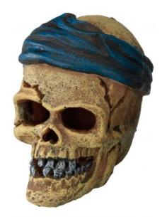Décor Pirate Skull head crack Aqua Della Autres décoration