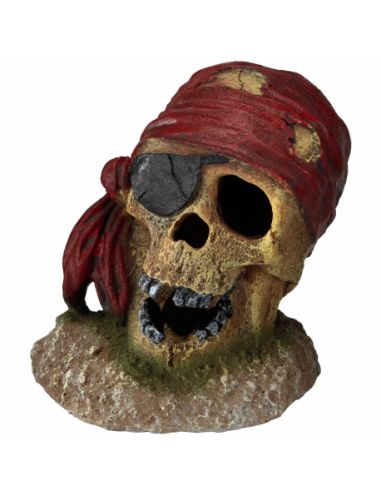 Décor Pirate Skull eye patch Aqua Della Autres décoration