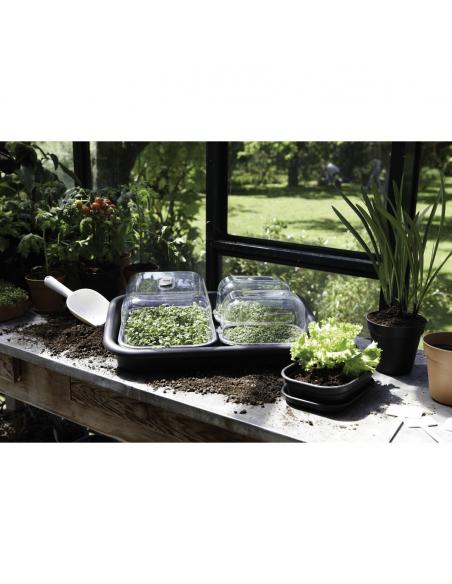 GREEN BASICS Plateau Soucoupe S Elho Accessoires pour serre et semis