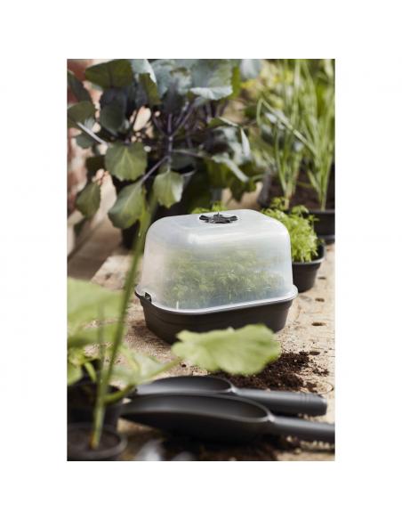 GREEN BASICS Plateau Soucoupe S - Noir Elho Accessoires pour serre et semis