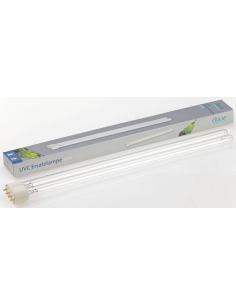 Ampoule de Rechange pour bassin - UVC 36W Oase Lampes UV pour bassin
