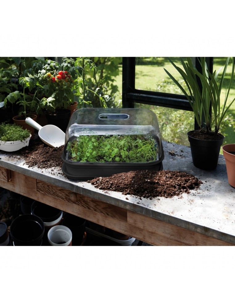 GREEN BASICS Plateau de culture L - Noir Elho Accessoires pour serre et semis