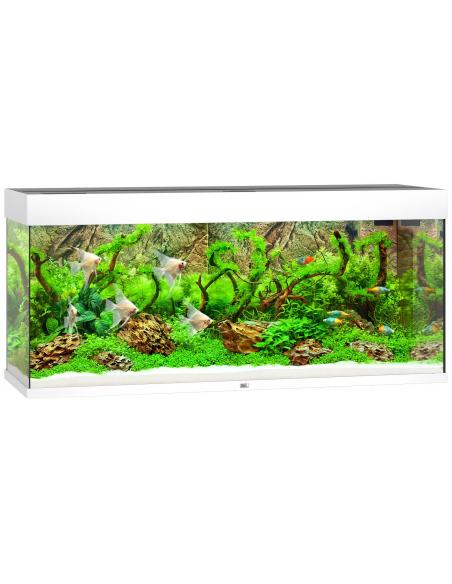 Aquarium Rio 240 LED Juwel aquarium Aquarium pour poisson d'eau chaude