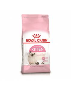 Féline Kitten 4Kg Royal canin Croquettes