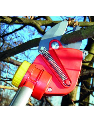 Perche élagueuse Wolf à coupe franche - Outils Wolf Outils Wolf Outils emmanchables multi-star Wolf