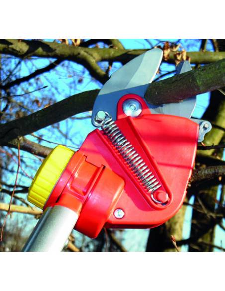 Perche élagueuse Wolf à coupe franche - Outils Wolf Outils Wolf Outils emmanchables multi-star Wolf