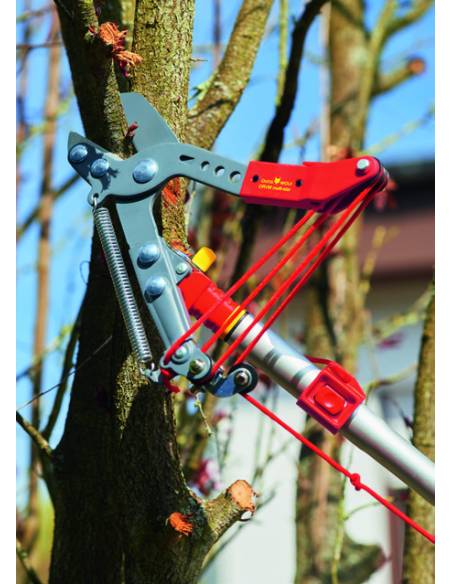 Echenilloir orientable à coupe enclume Multi-Star - Outils Wolf Outils Wolf Sécateur et cisaille