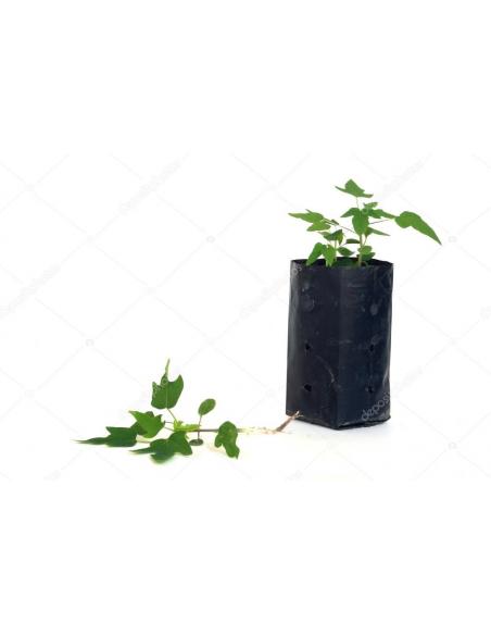 Sac Agricole 2.25 Litres Vega Matériel de Semis