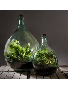 Bouteille terrarium 35L set Esschert Design Vase et verrie 2
