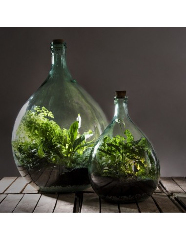 Bouteille terrarium 35L set Esschert Design Vase et verrie
