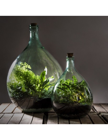 Bouteille terrarium 35L set Esschert Design Vase et verrie